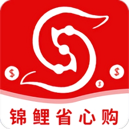 锦鲤省心购 一站式轻松购物新体验